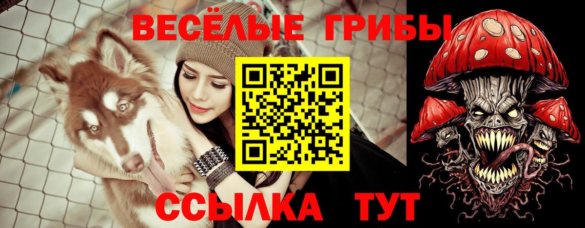 Галлюциногенные грибы Psilocybine cubensis  Вход с VPN  Гагарин 