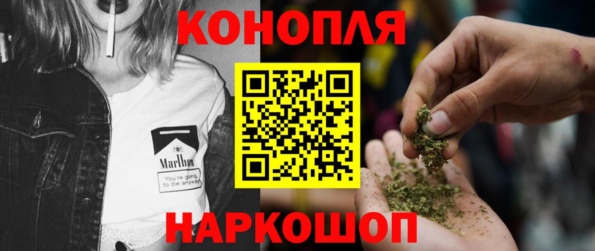Шишки марихуана планчик  Шишки марихуана индика  Вход с VPN  Гагарин  Марихуана Bruce Banner 